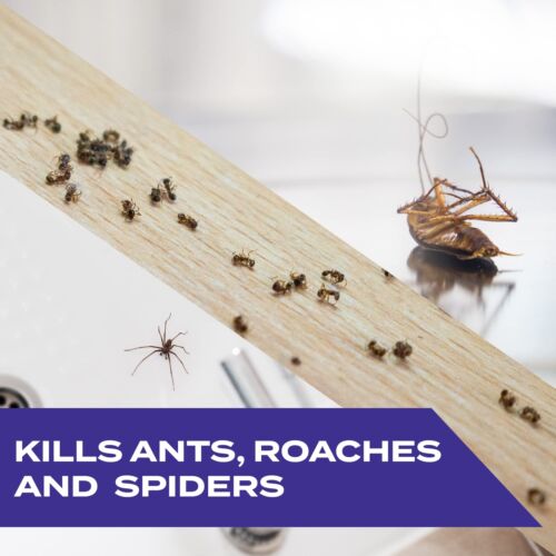Stem Kills: Plant-Based Active Ingredient Bug Spray