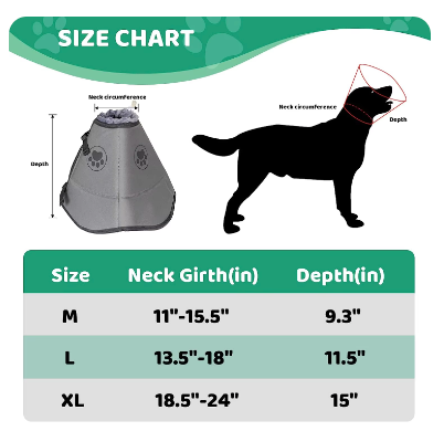 Dog Recovery Collar (XL) soft