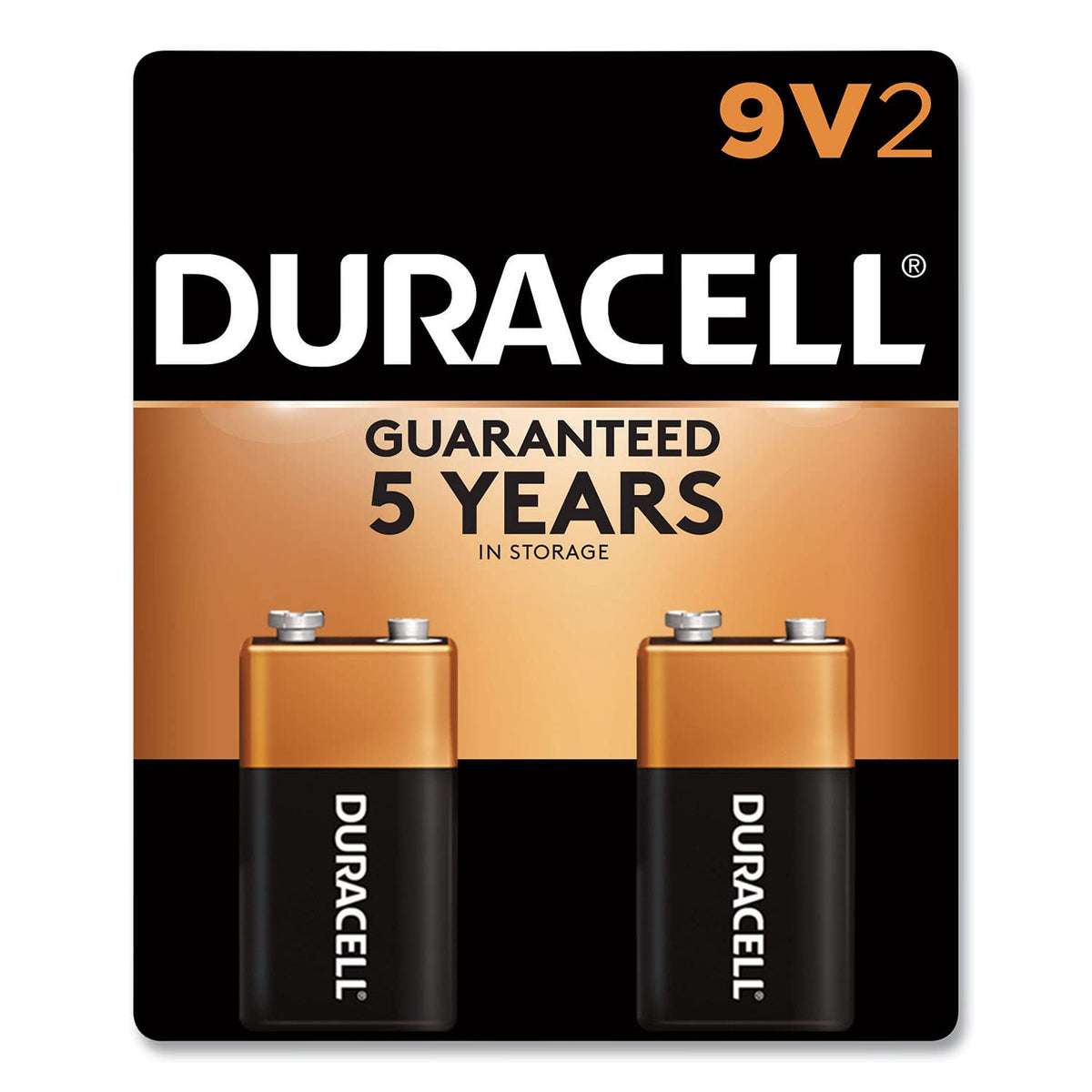 Duracell Batteries -9 volt Battery (2 pack)