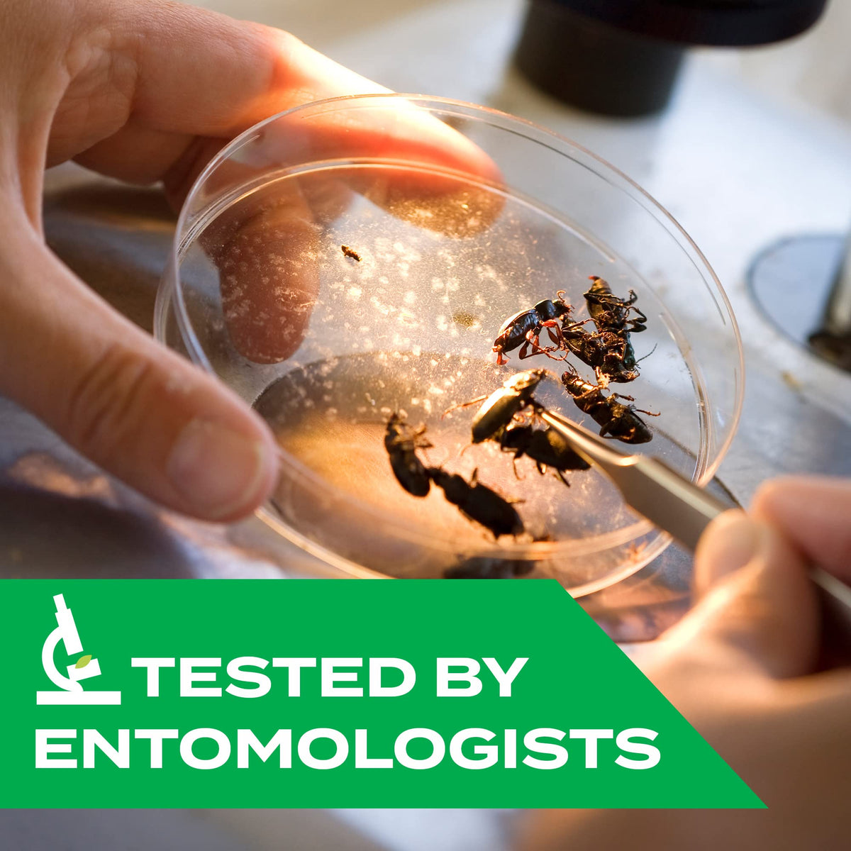 Stem Kills: Plant-Based Active Ingredient Bug Spray