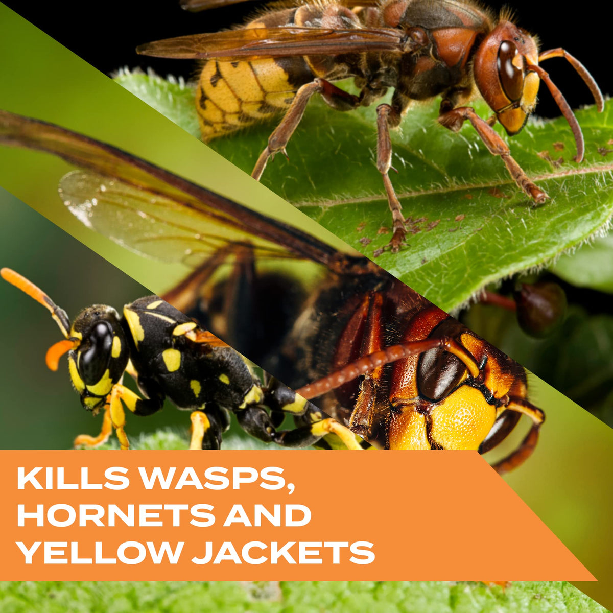 Stem Kills: Plant-Based Active Ingredient Bug Spray