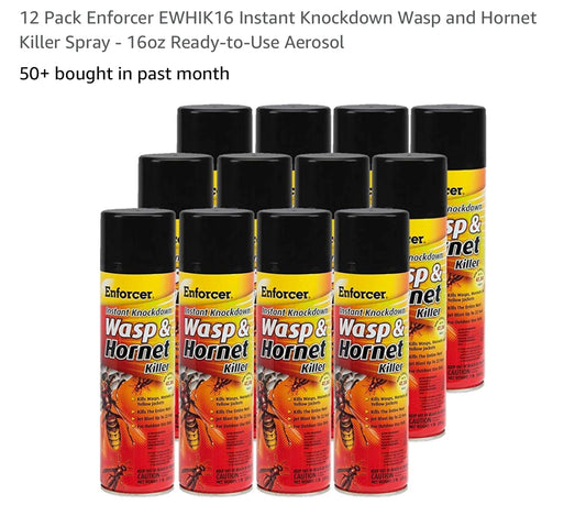 Enforcer instant knockdown wasp and hornet killer 16 ounce
