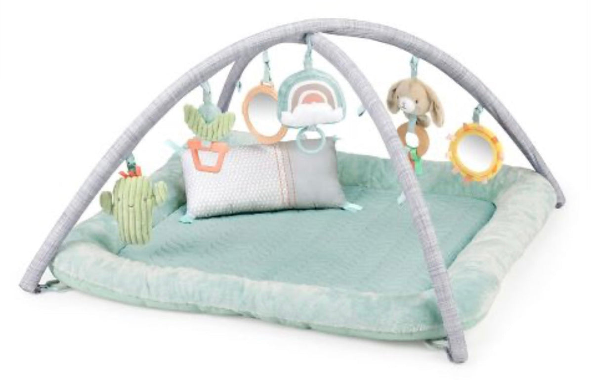Ingenuity Calm Springs Plush Activity Gym for Baby, Ultra-Soft Premium Mat.