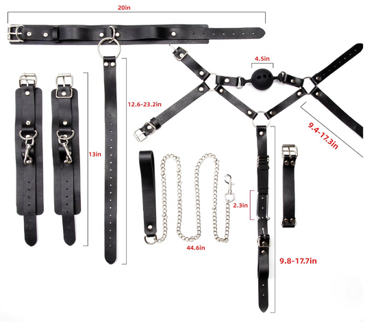 BDSM Bondage Set with Gag Ball and Nose Hook