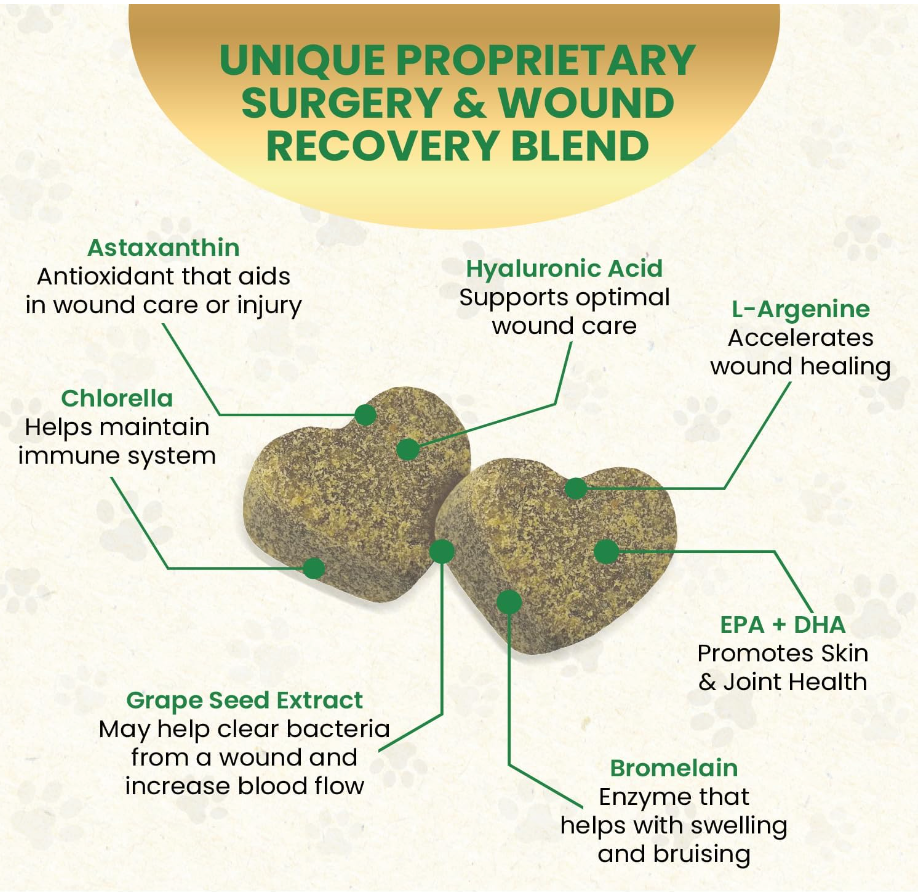 Hip and Joint Chews for Dogs by Zen Pet Nutrients - WoundVite