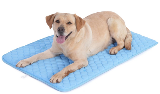 Dog / Pet Cooling Mat, No Need to Freeze Or Refrigerate