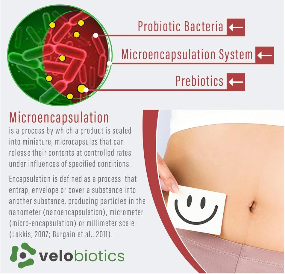 Velo16 Probiotic Digestive Supplement - 30 capsulses