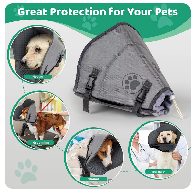 Dog Recovery Collar (XL) soft
