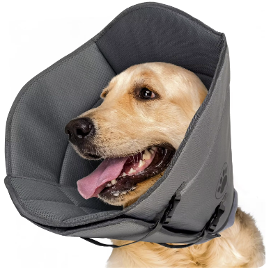 Dog Recovery Collar (XL) soft