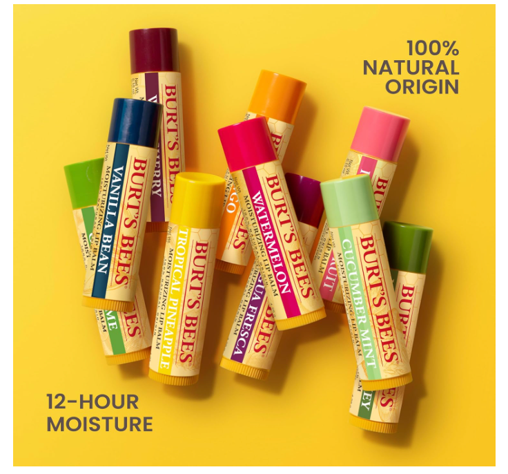 Burt's Bees You're the Balm Lip Balm Pack